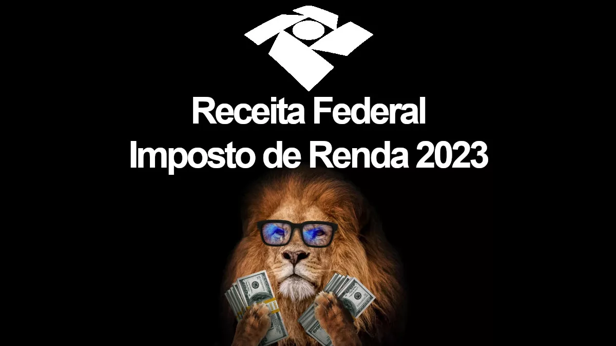 Ainda Não Declarou Seu Ir Veja Como Declarar O Imposto De Renda 2023 4347